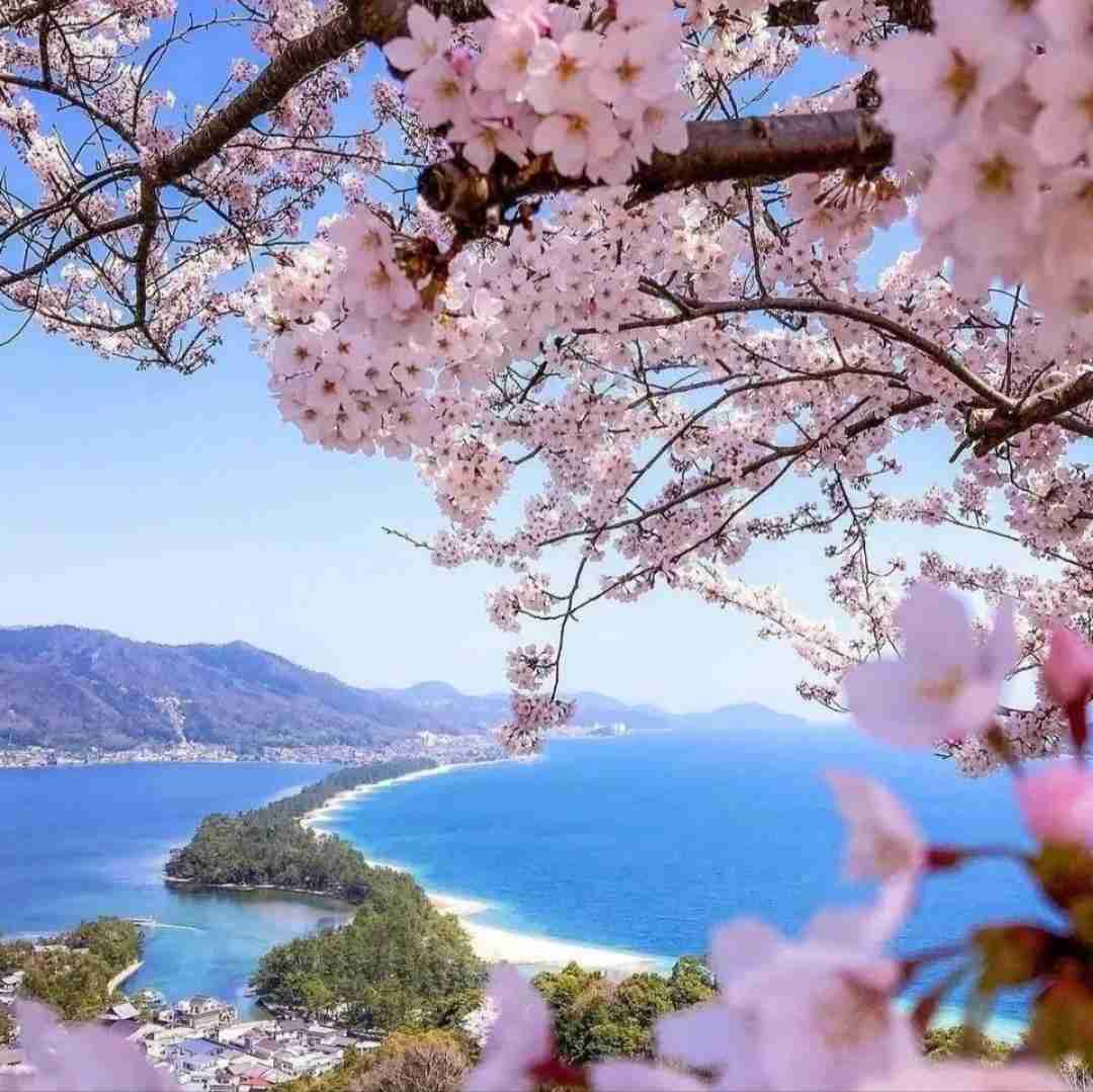 دانلود آهنگ تو دیگه برنگردیا بودم از سرت زیاد شدم بیمار