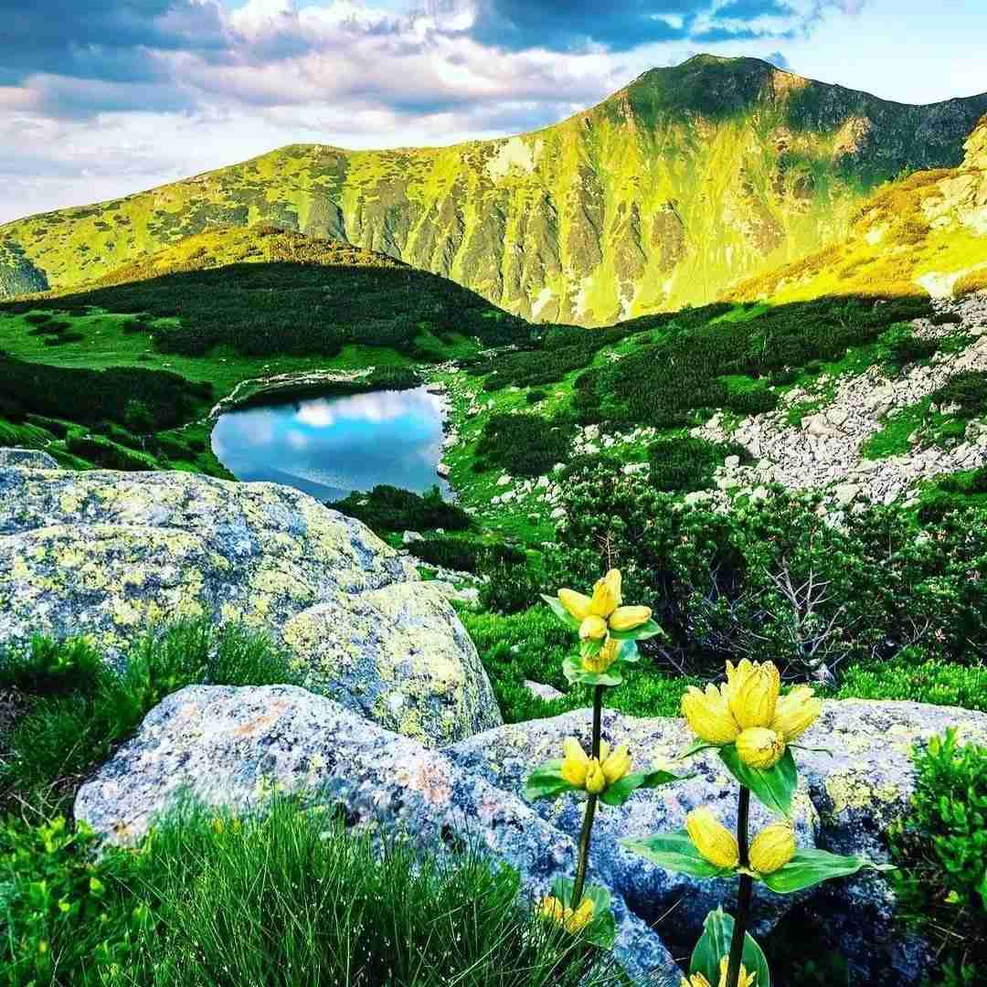 دانلود آهنگ ترکی پنجره دن باک بانا فندق فستک آت بانا با صدای دختر