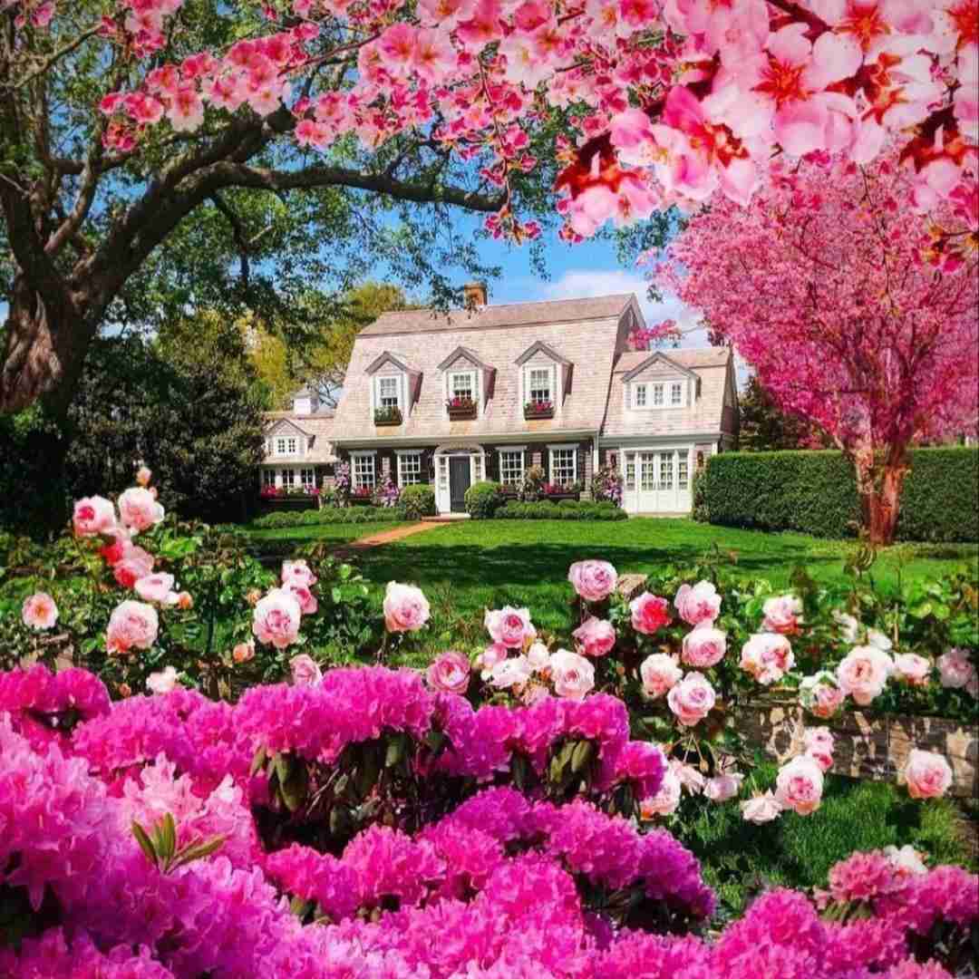 دانلود آهنگ دیگه داره روح از تنم میکنه و میره