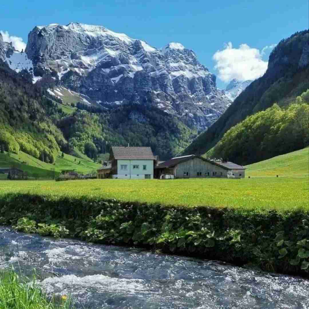 دانلود آهنگ کجا باید برم من عاشق چشاتم 