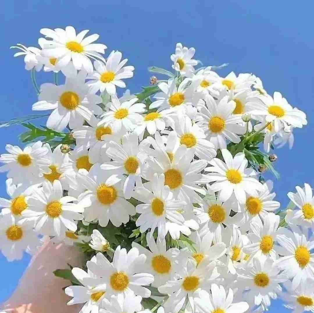 دانلود آهنگ عشق که نیست که جنگه دل که نیست که سنگه 