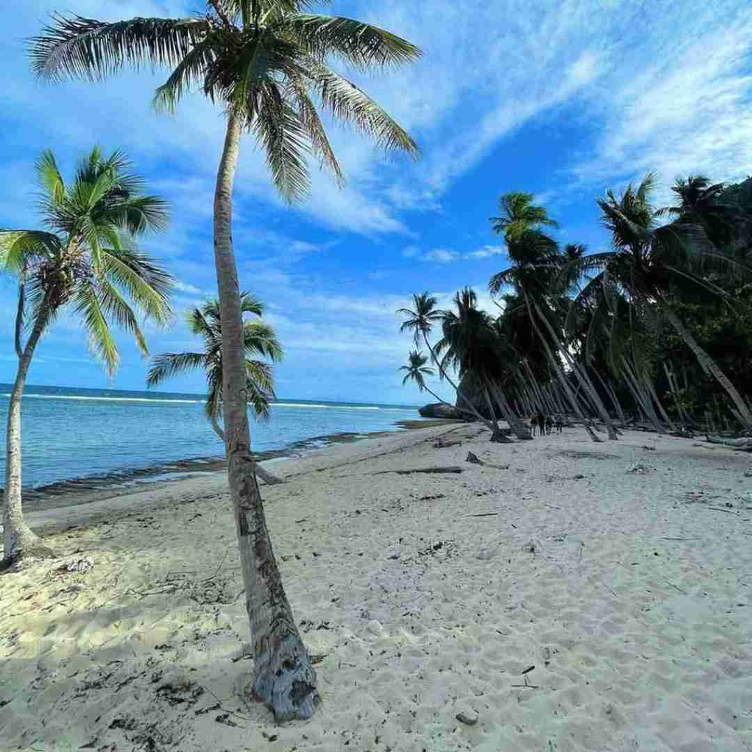 دانلود آهنگ عربی یالا دودودودو 