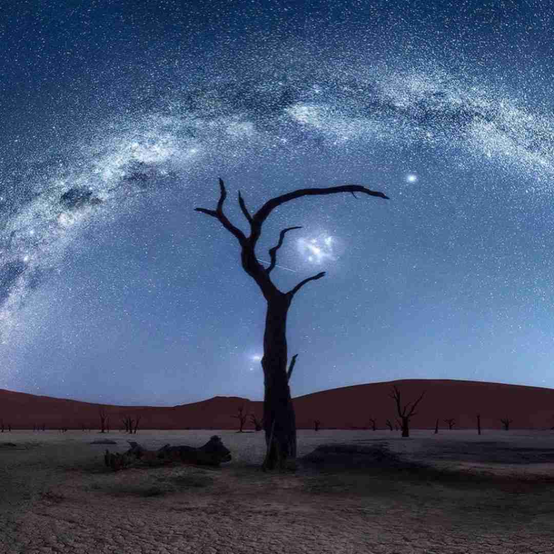 دانلود آهنگ تو مستی اومد اسمت من سفید شد موهام درجا 