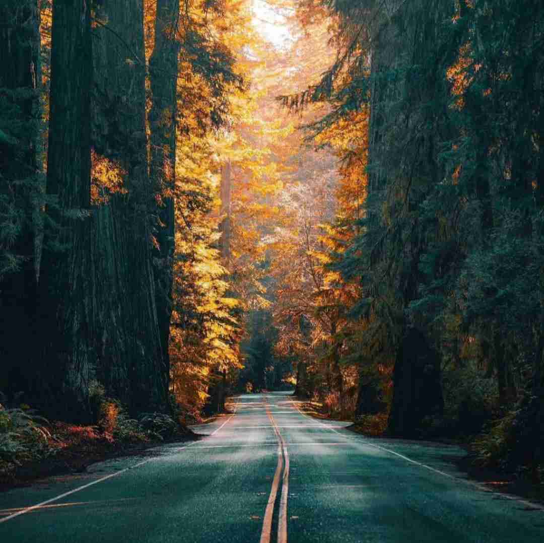 دانلود آهنگ برو قلپ قلپ بالا میسوزونه گلو رو تلخی