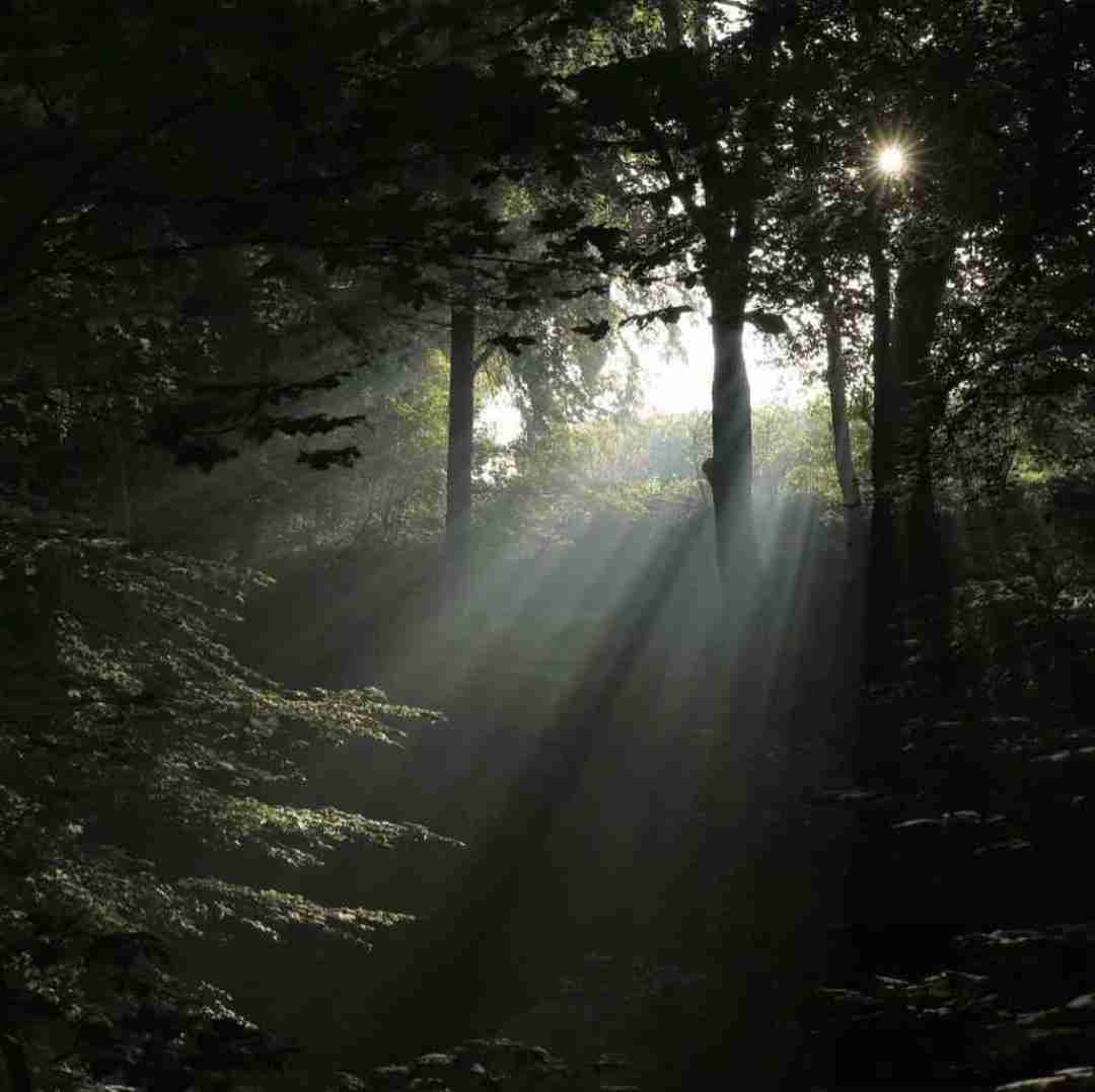 دانلود آهنگ سخته بخوای بمونی به پای اون همیشه 