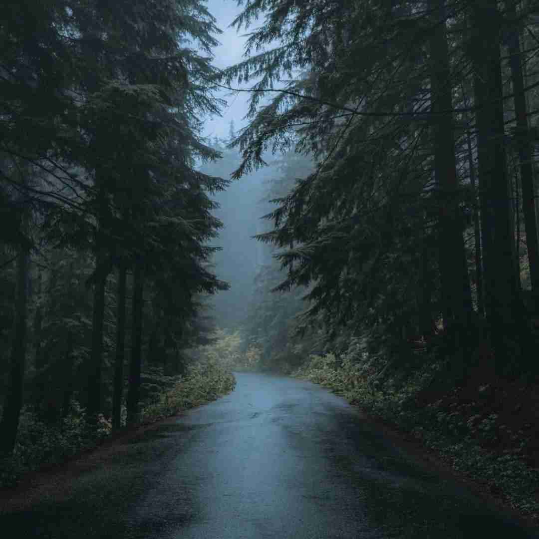 دانلود آهنگ شهرو چراغون کنید ستاره بارون کنید 
