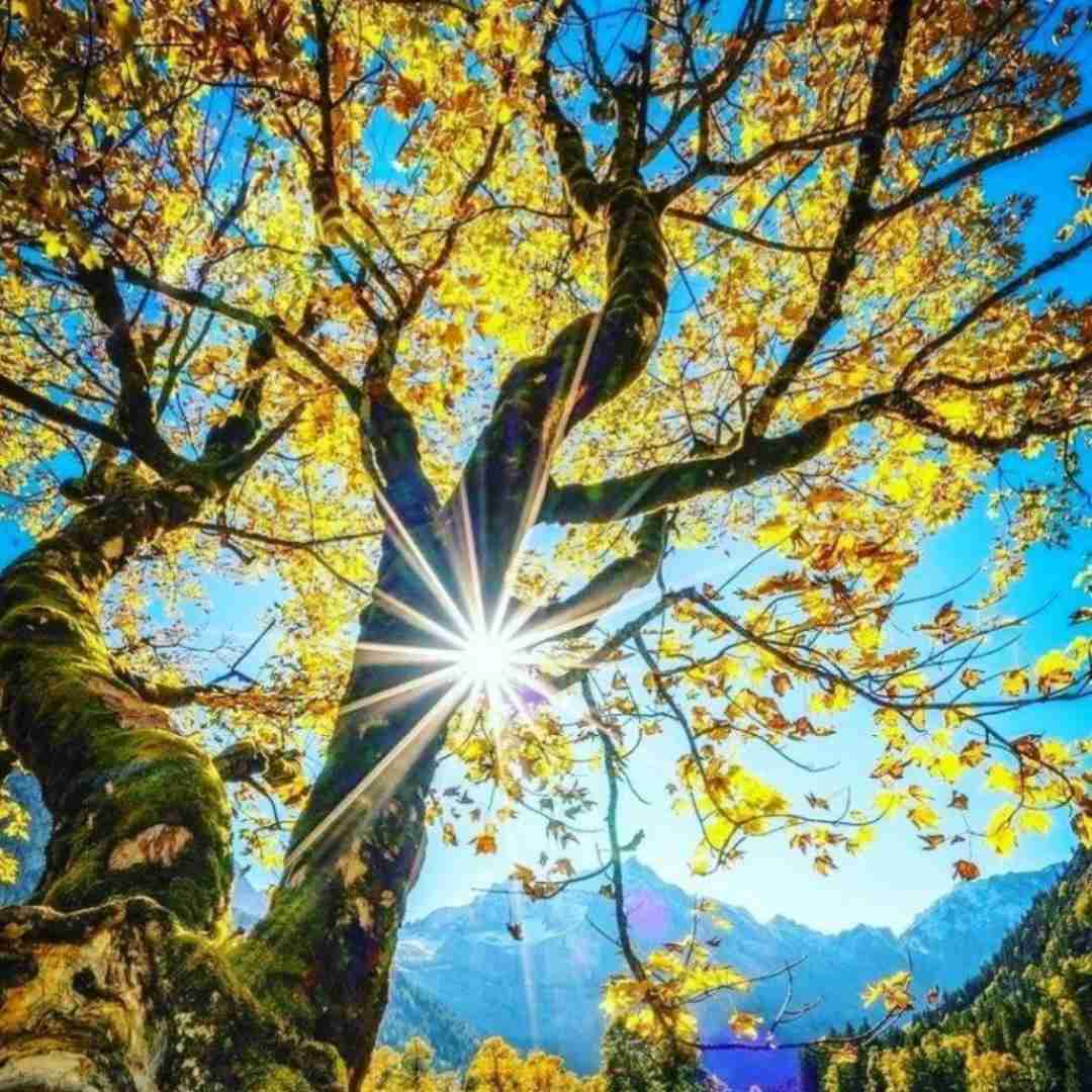 دانلود آهنگ بهونه میاری میخوای از خودم دورت کنم 