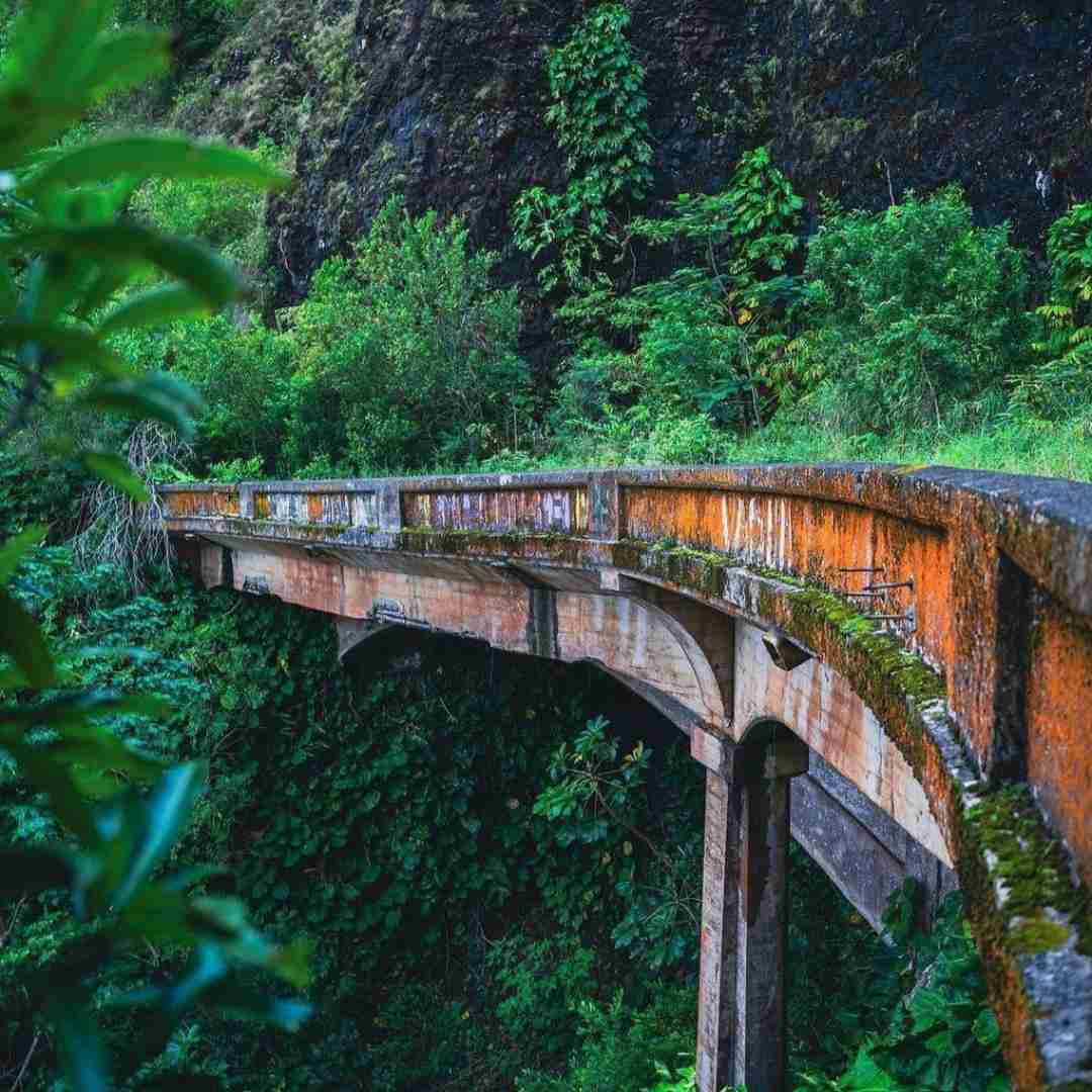 دانلود آهنگ اصلا ازت انتظاری نی برگردیم به عقب