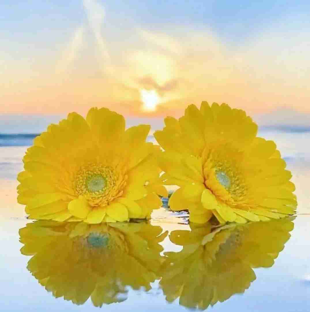 دانلود آهنگ عشقی نی آره نعری فکر نکن مال منی 