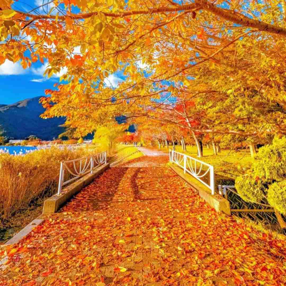 دانلود آهنگ بخوریم بکشیم بپاچیم اگه خوردیم به ترافیک بریزیم دور 