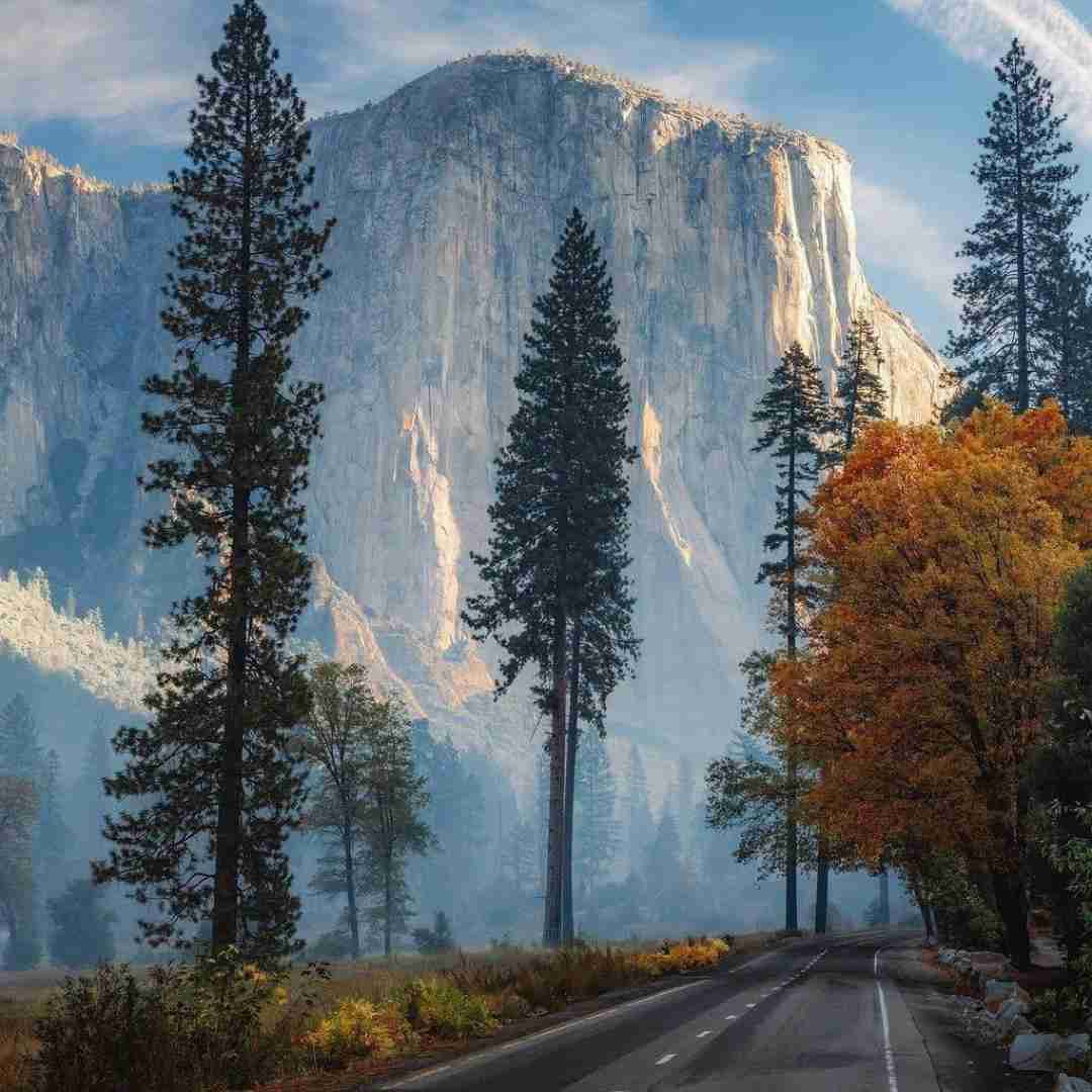 دانلود آهنگ هنوز زنده سرگرم درگیر اصل مطلب پیگیر رتبه اول 