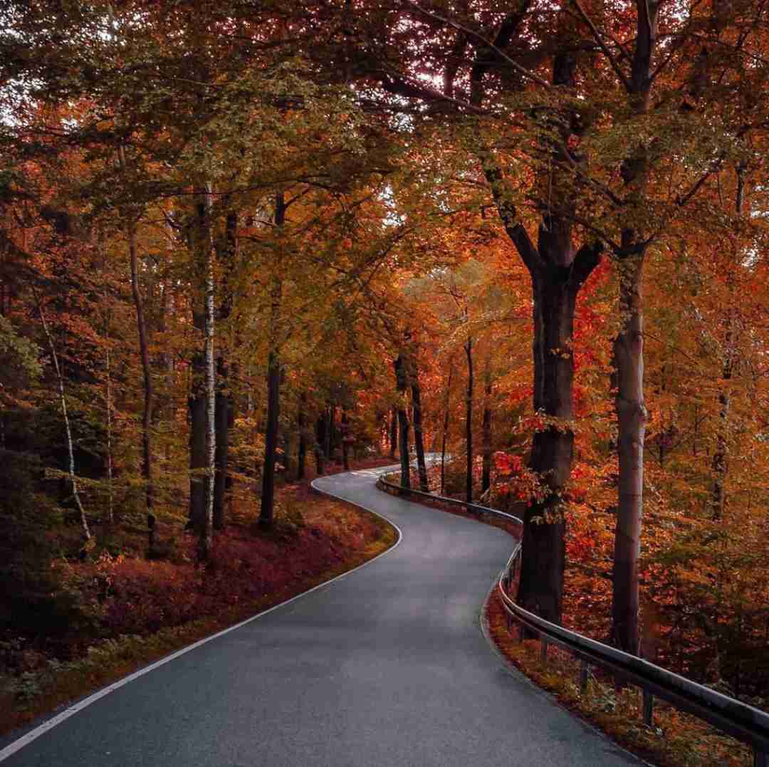 دانلود آهنگ ای بی خبر از حال بیمارم با صدای زن 