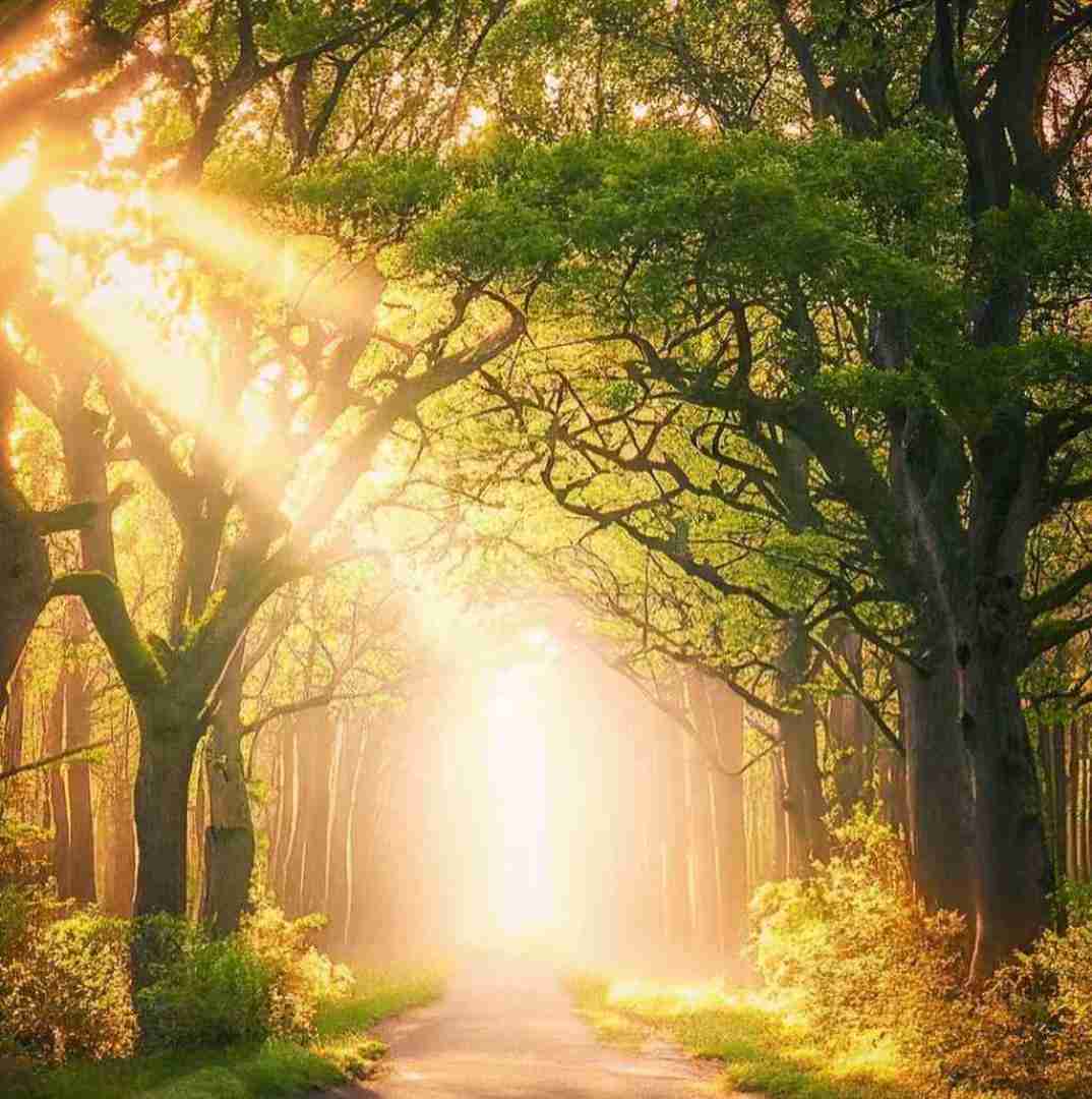 دانلود آهنگ گذشته ها گذشته همین الانو عشقه با صدای زن 