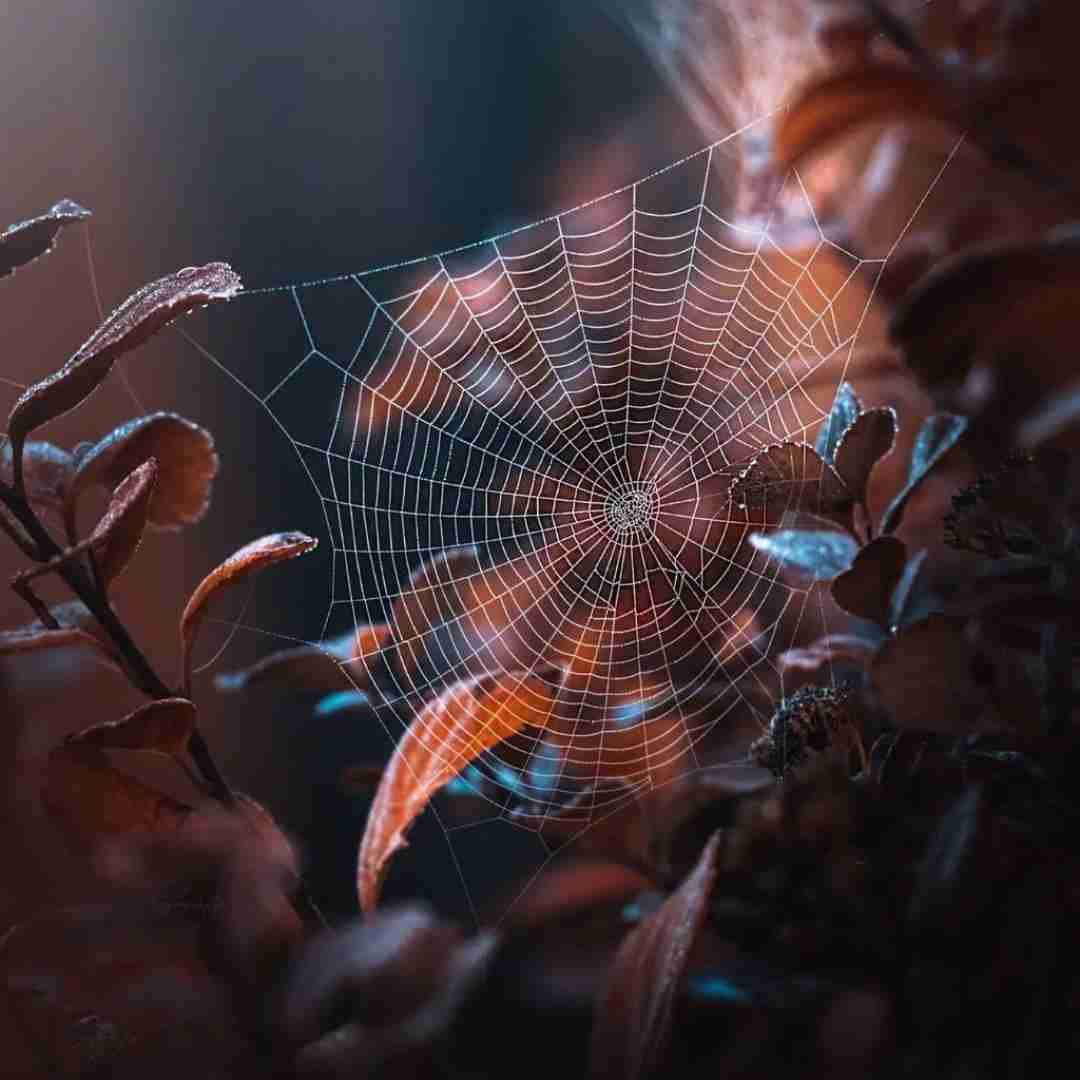 دانلود آهنگ برو جلو آینه به خودت برس 