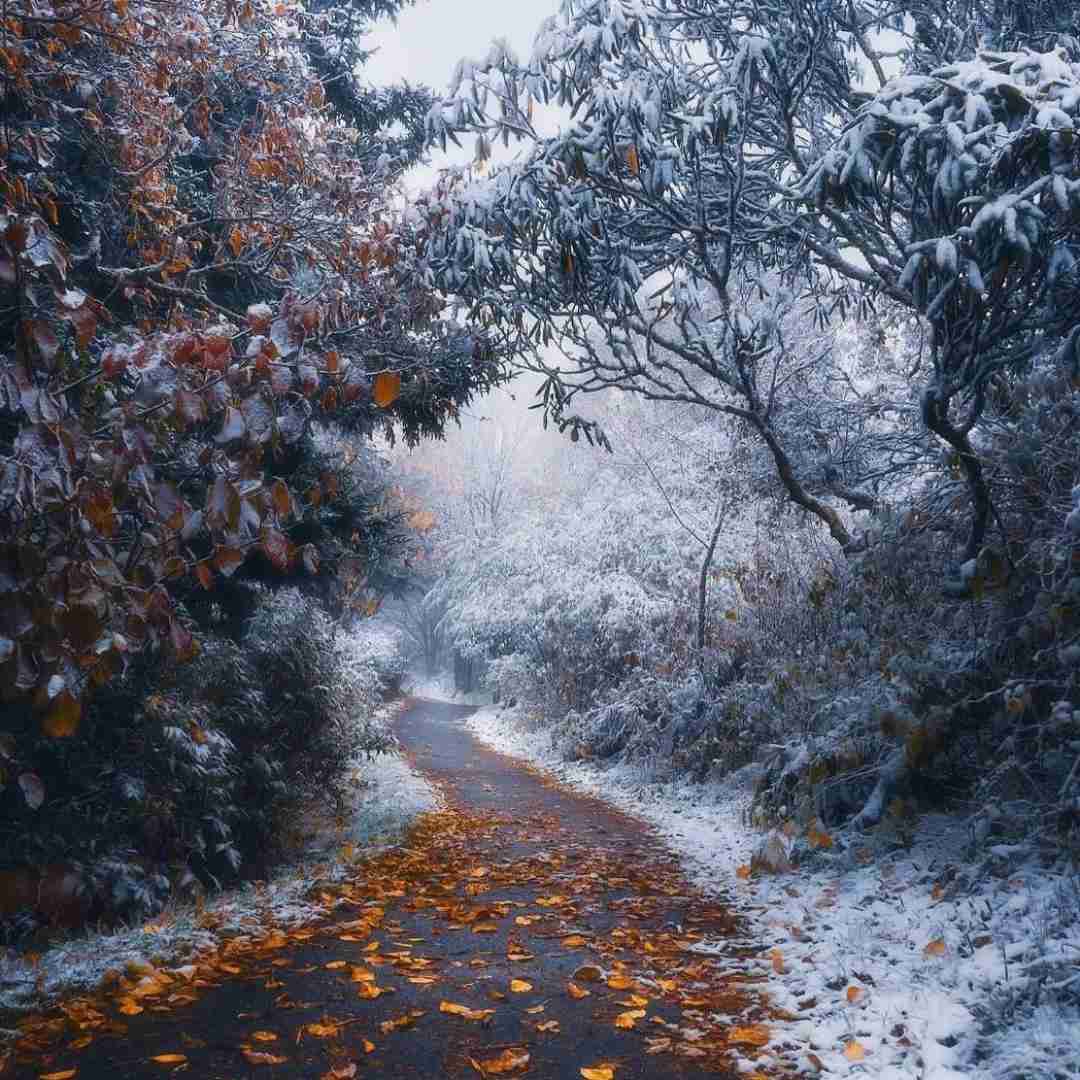 دانلود آهنگ ای تش منه دنیا ای تش به زمونه 