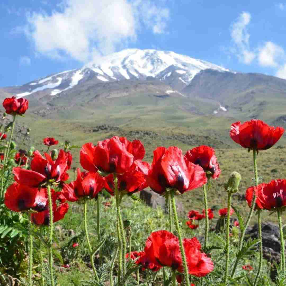 دانلود آهنگ غم تقدیرم قطار درد ما شده دریا شبیه بغض ما شده با صدای دختر 