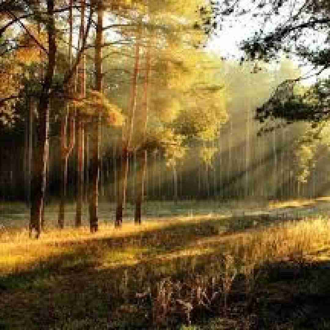 دانلود آهنگ برای چی اوضاع رو پیچیده کنیم با صدای بچه تیک تاک 