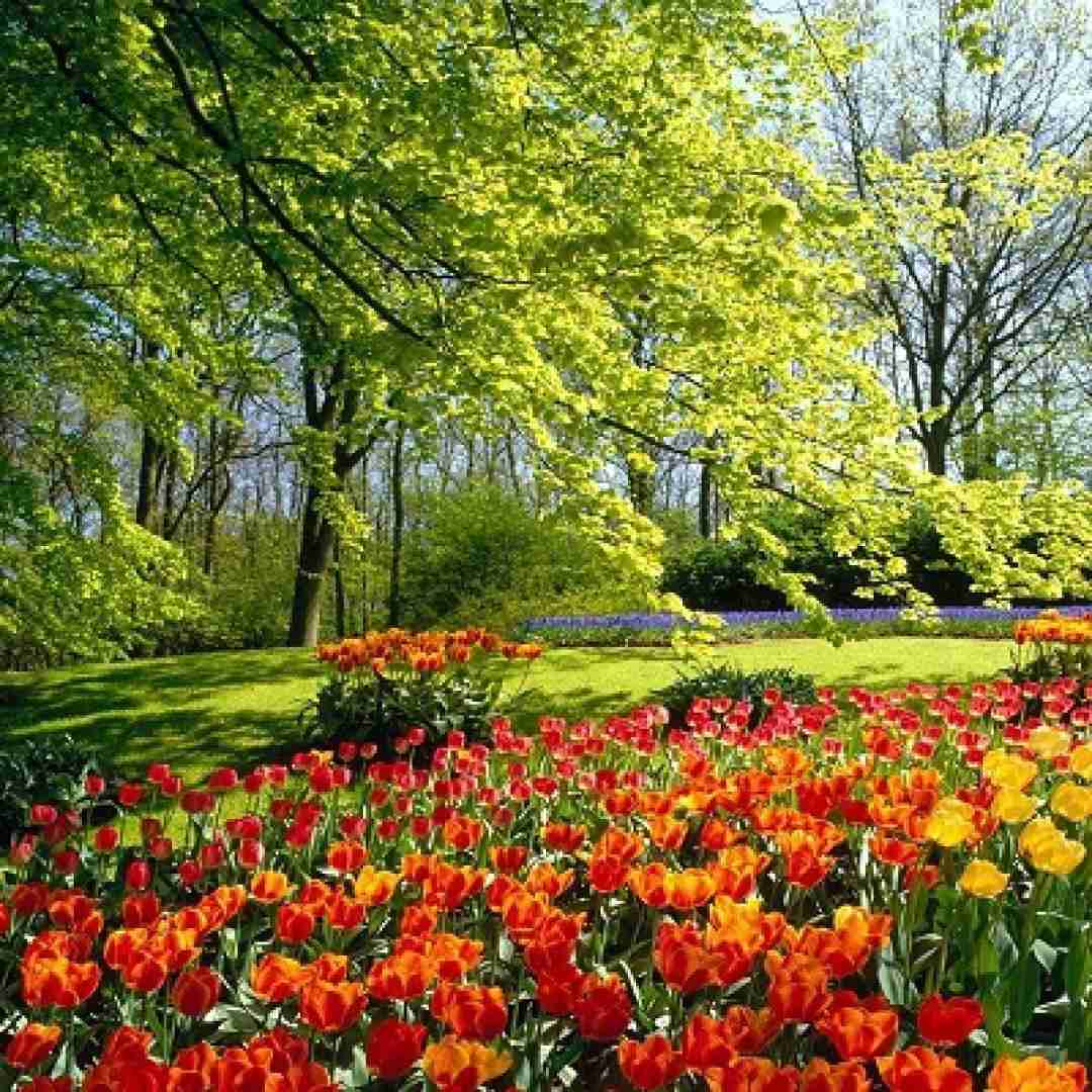دانلود آهنگ اگه رسیدی به جایی دیدی احتیاج داری به بغل من 