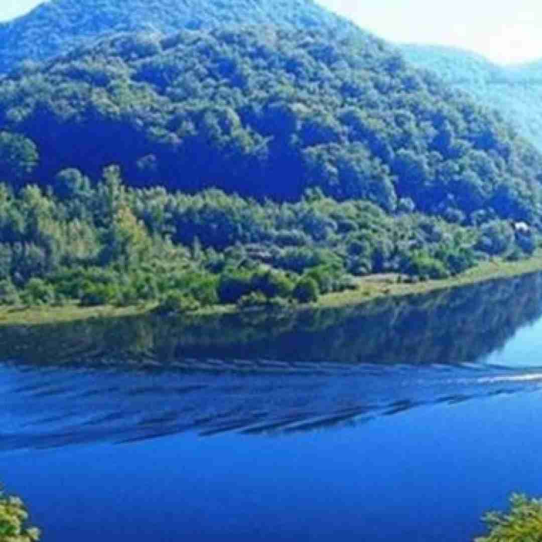 دانلود آهنگ عشق یعنی دلو بسپاری میده کپشن 