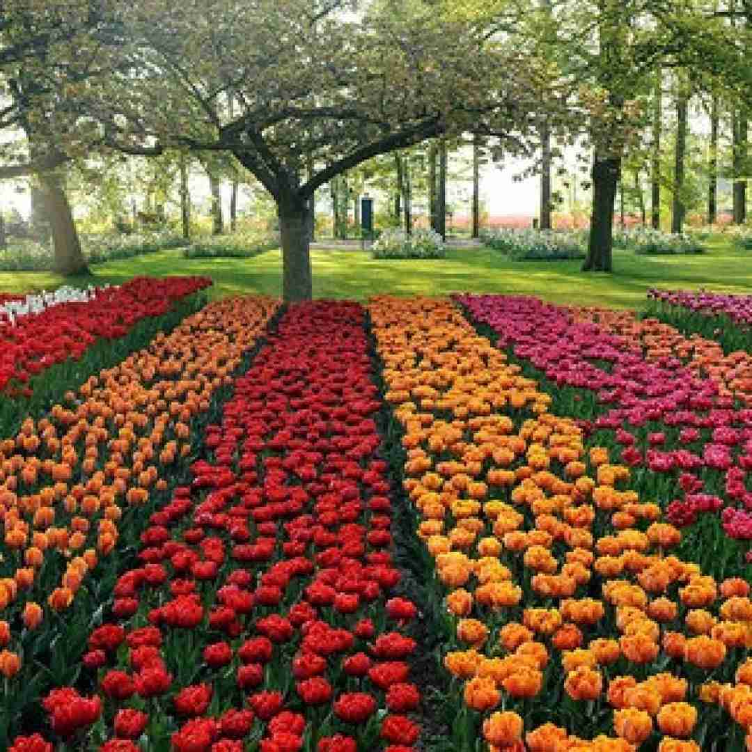 دانلود آهنگ بمون دل من فقط به بودنت خوشه با بیت کردی 