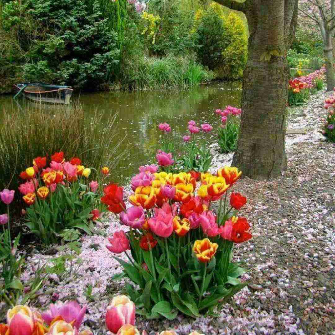 دانلود آهنگ بارونه حالم خوبه ریه داغونه 