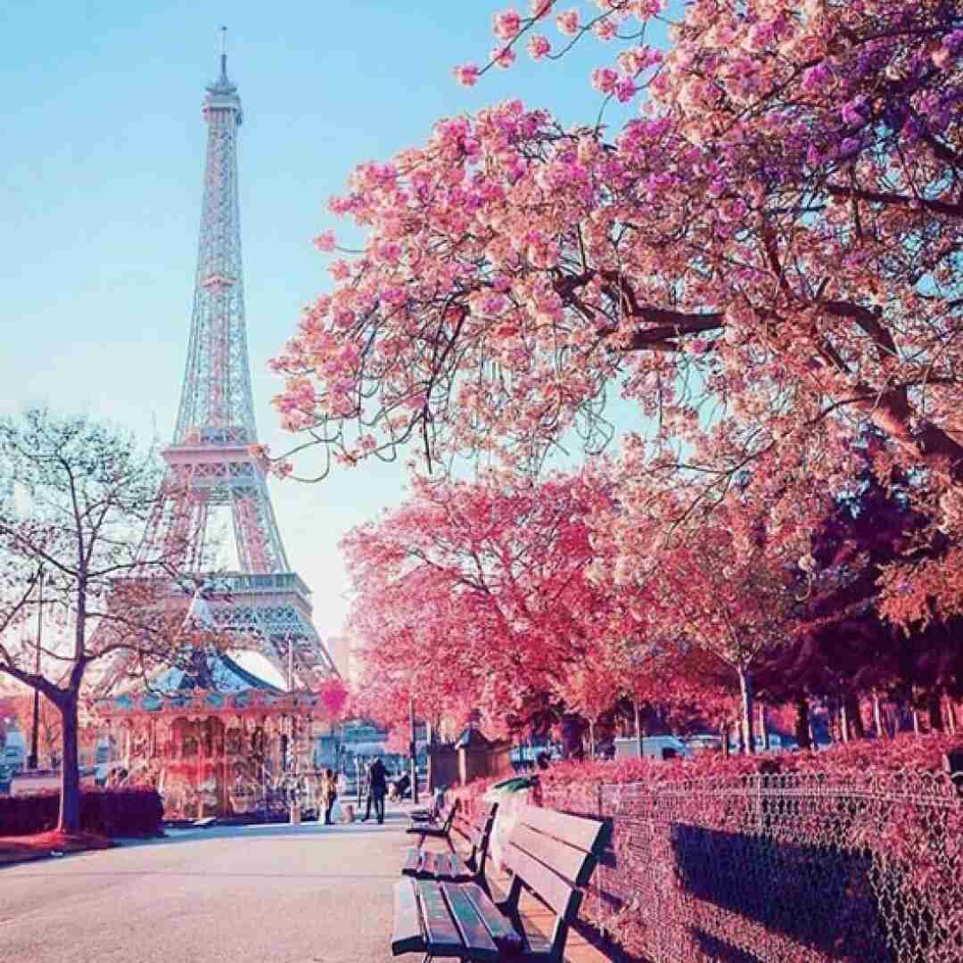 دانلود آهنگ نه مدیوه سمیرا کارزان