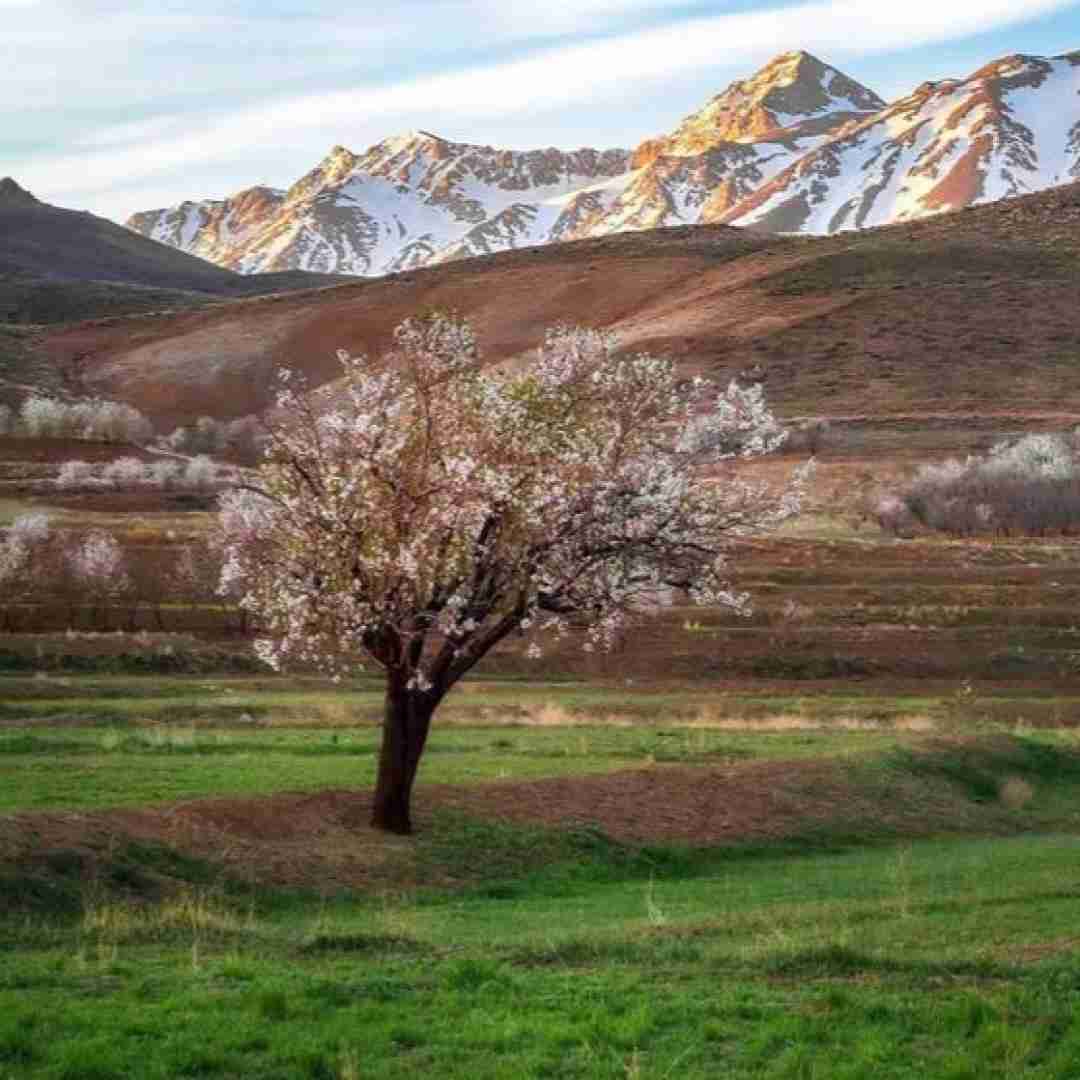دانلود آهنگ اومدم اخماتو وا کنم آتیش به پا کنم عشقو بغل بگیرم معروف اینستا 