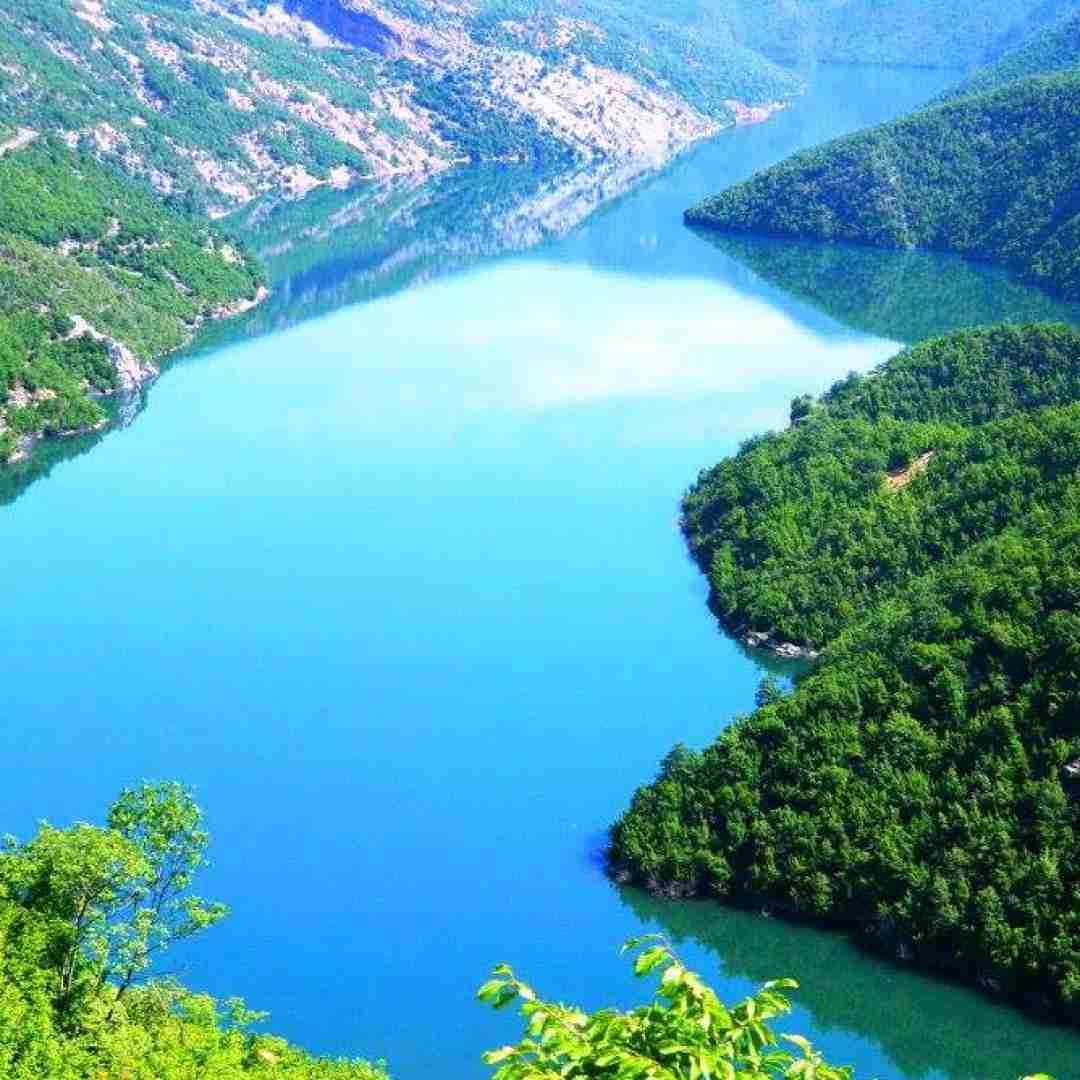 دانلود آهنگ میگه جنست خوبه میگم فدایی داری 