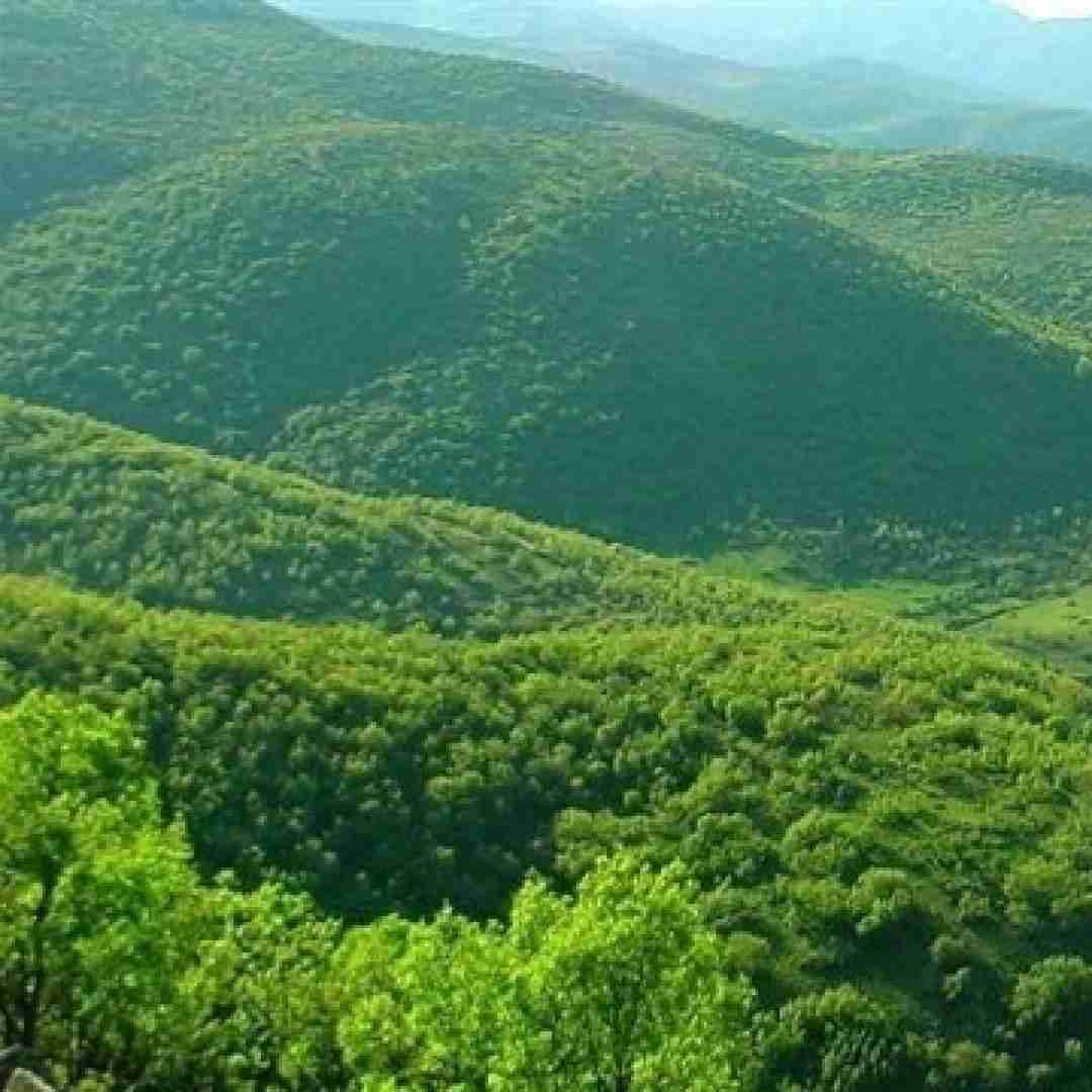 دانلود آهنگ تو سفید کنی من سیاه کنم 