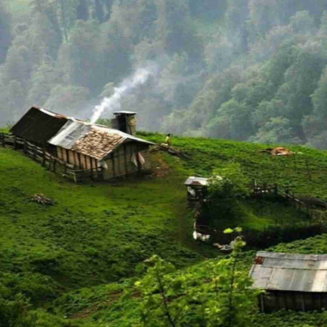 دانلود آهنگ تو نور چشمی میبره دل منو موی مشکیت هوش مصنوعی 