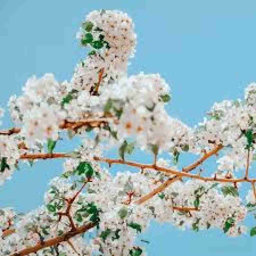 دانلود آهنگ حرفارو باور نکن تو فقط به من میای 