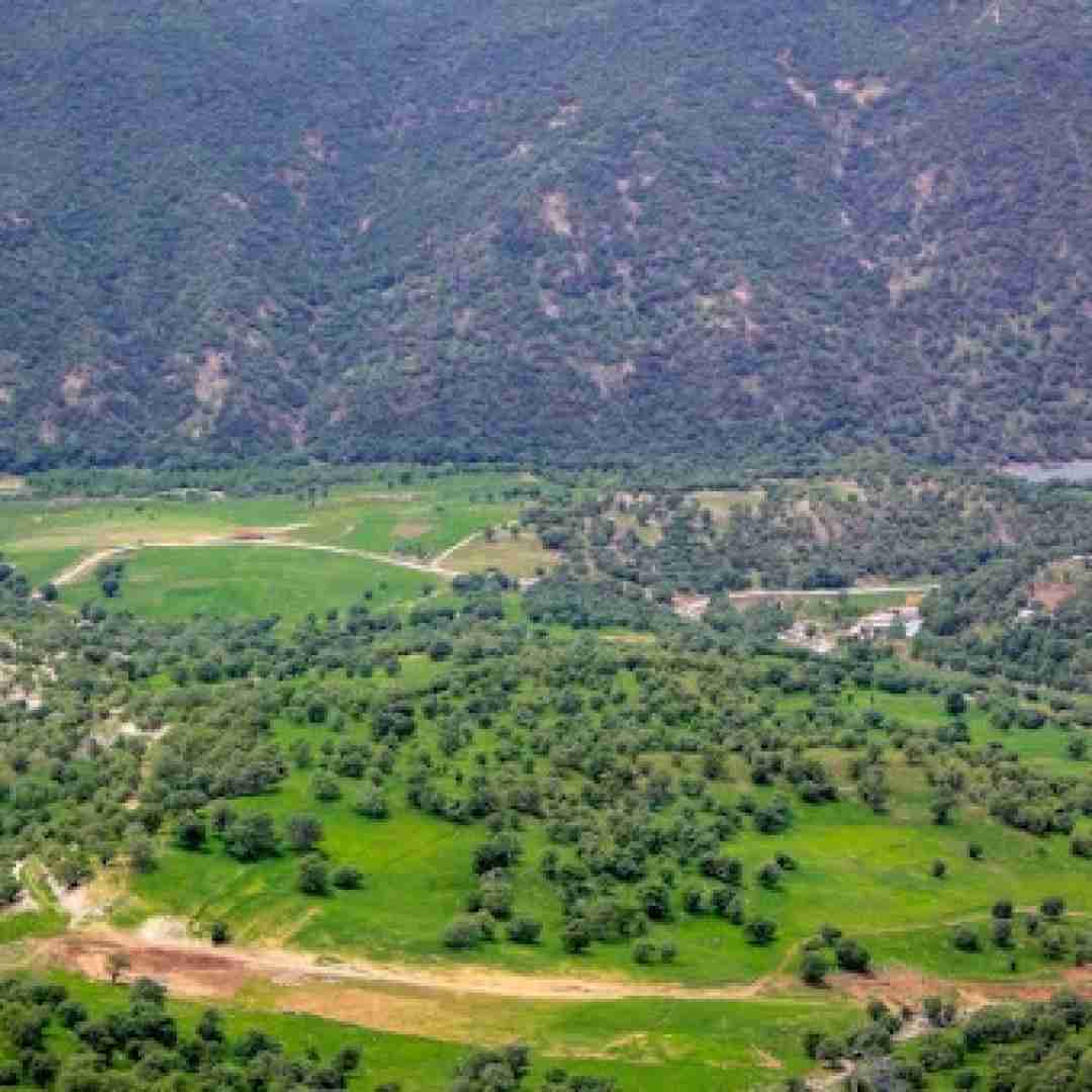 دانلود آهنگ عکستو نشون بده بگو شبیه کی شدی چالش اینستاگرام 