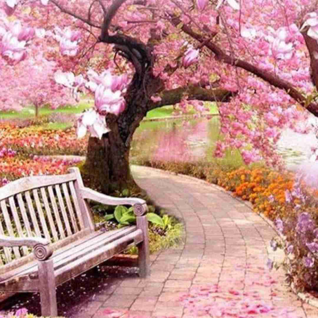 دانلود آهنگ این جوابش نبود این همه حس خوبو بردی از یادت با صدای دختر 