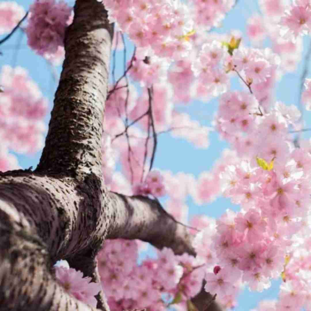 دانلود آهنگ ترانه ی تنهاییام تو اونی که از دنیا میخوام تو 