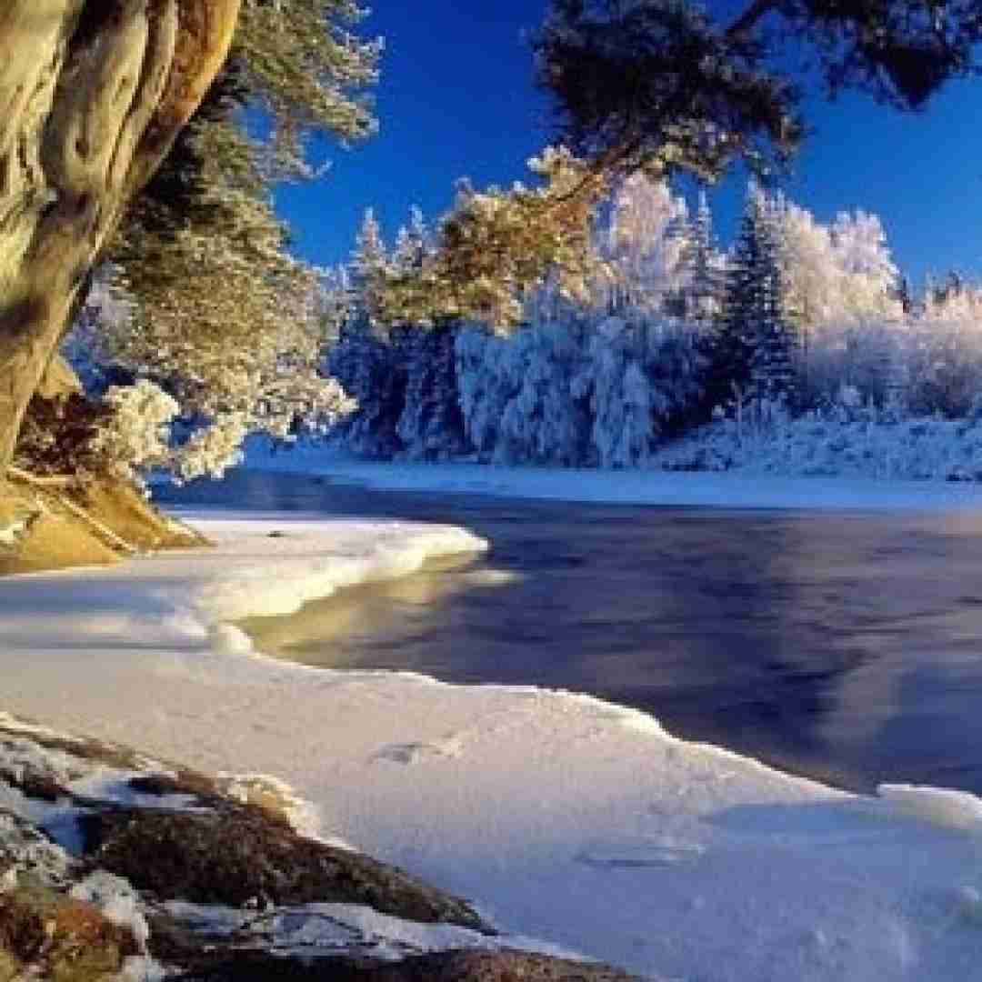 دانلود آهنگ نبود نرمال واسم حست مثه شب اول مستیت 