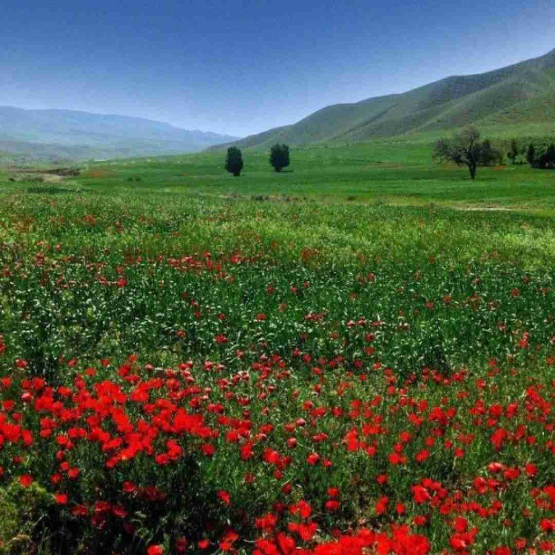 دانلود آهنگ بزار همه دنیا بدونه از تو فقط هست یدونه هوش مصنوعی 