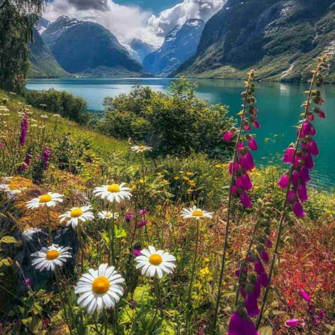 دانلود آهنگ ای دختر زیبا بیا بریم دریا 