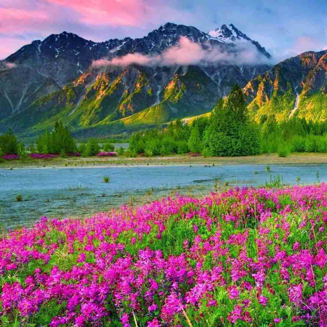 دانلود آهنگ هر کس و روز ازل بی وفایی کرد غرق تو تباهی 