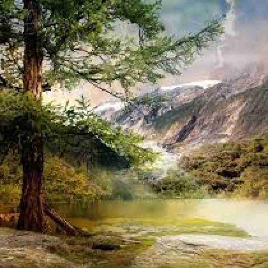دانلود آهنگ کبوتر دلم از لب بوم دلت نمیپره با صدای زن 