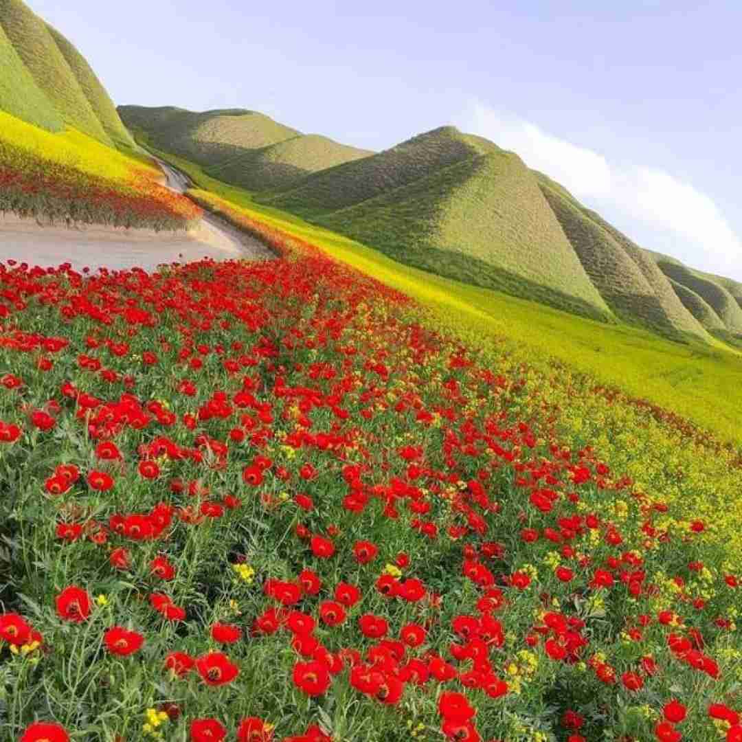 دانلود آهنگ چطوری تو رو وقتی تنت به تن یکی دیگه خورده رو بغل بگیرم صدای دختر گیتار 