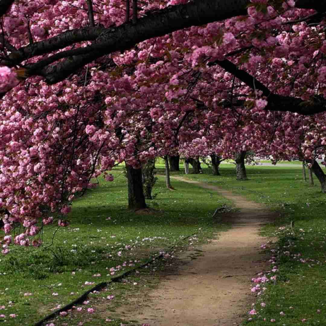 دانلود آهنگ تو عاشق نمویی دل تو چی سنگه لری ترند اینستا 