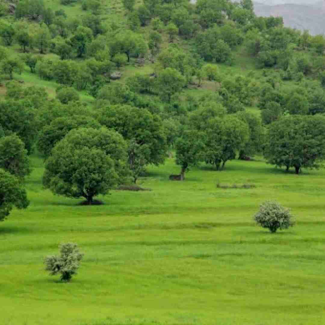 دانلود آهنگ به ولله دلم تنگه یه فکری بکن به حال دلم میکس ترکیبی 