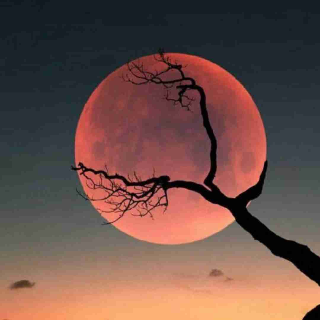 دانلود آهنگ دره دره د دیگه بیس چاری میریم نانس پیک 