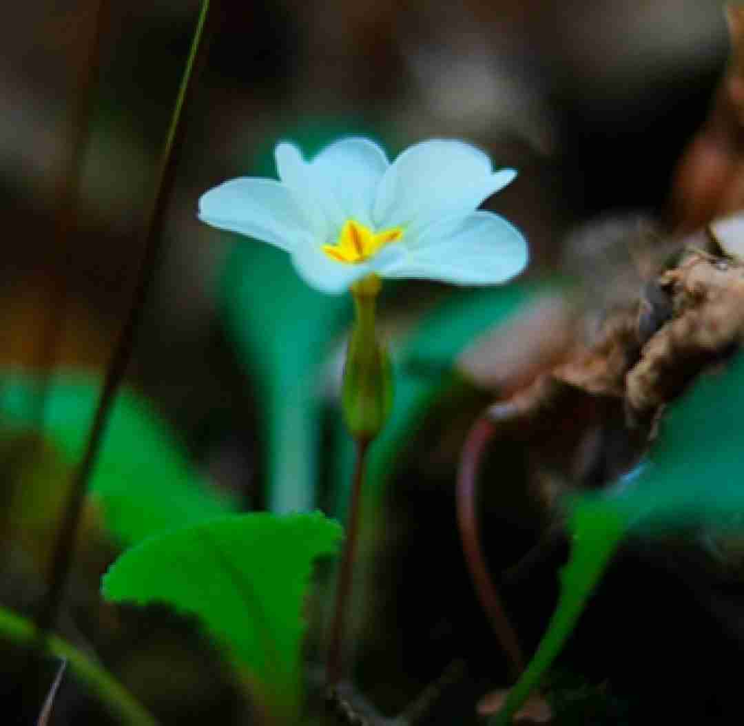 دانلود آهنگ رفیق نا رفیق من برو از جانم چه میخوای با صدای بچه بیس دار 