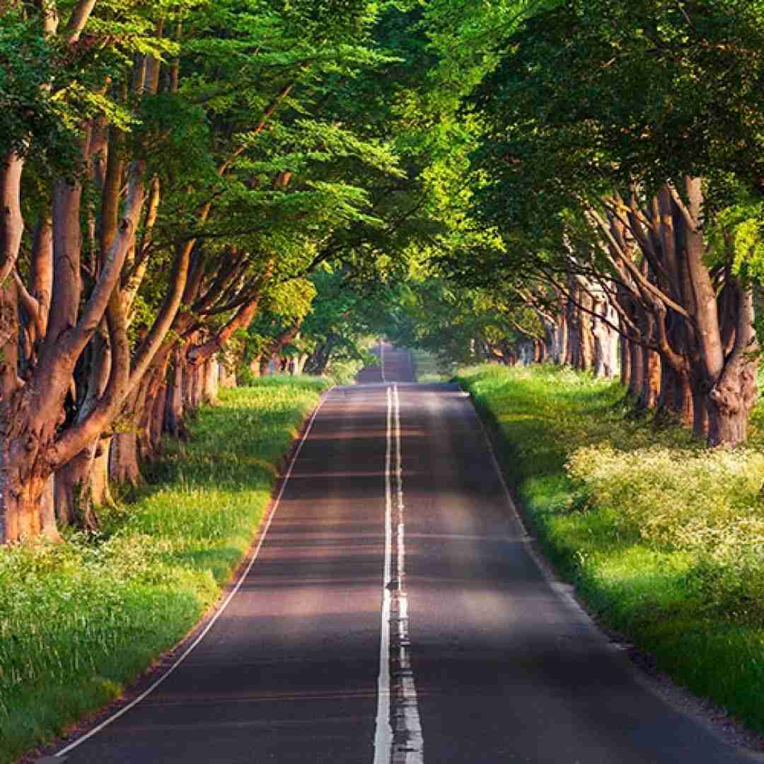 دانلود آهنگ نمیشن یه تار موت اون دافیا اوکی ولی تو بی من روال تری 