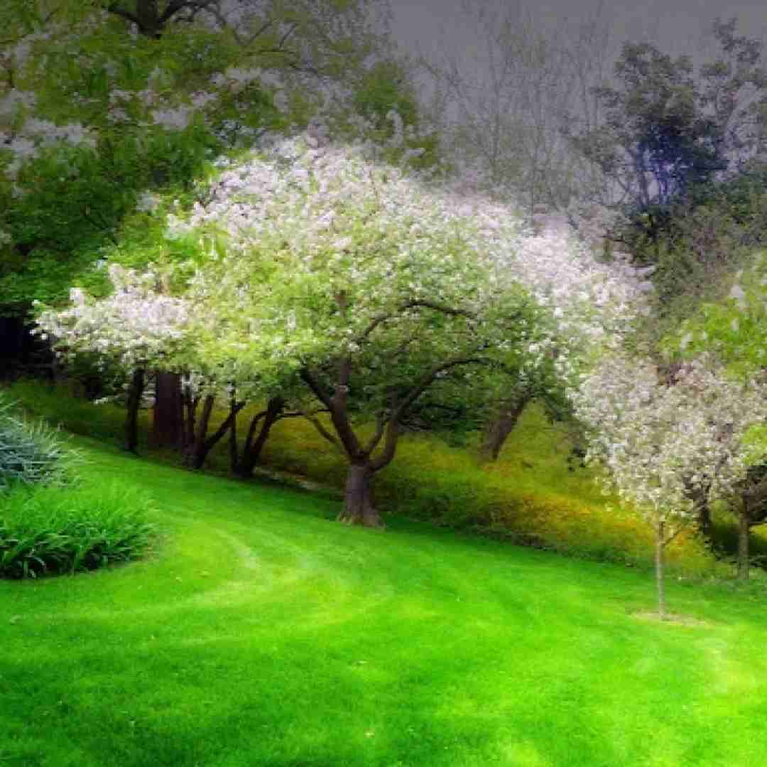 دانلود آهنگ نه حال خوبی دارم نه صبری مونده واسم با صدای بچه 