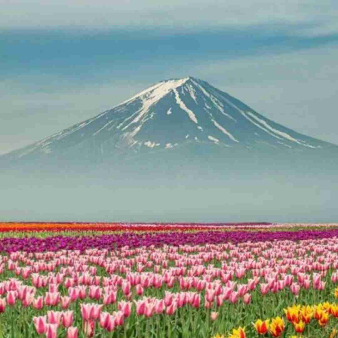 دانلود آهنگ به یارم بگید خوب من محبوب من آخه با تو من چه کردم 