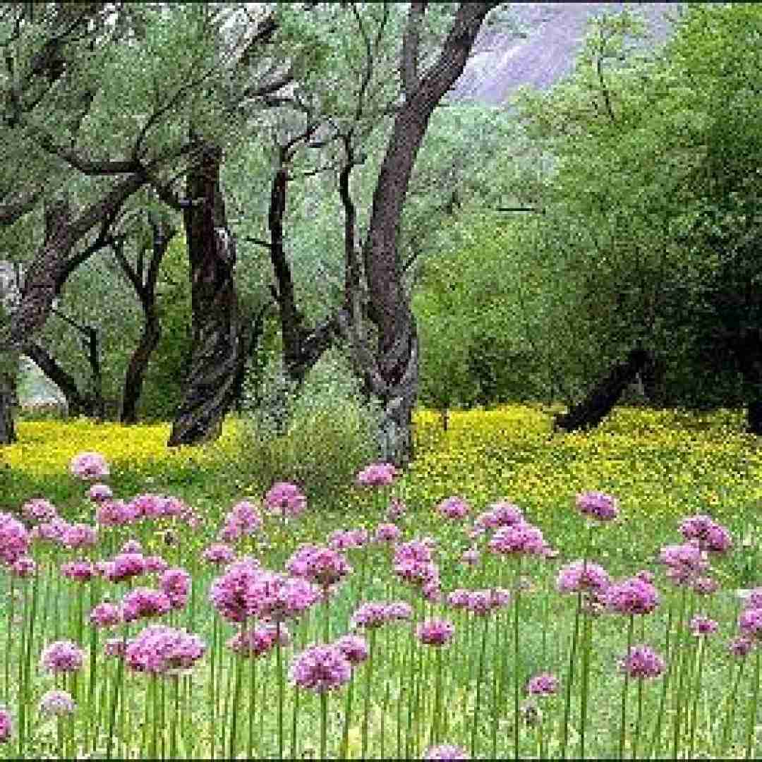 دانلود آهنگ منم عکساشو پاره کردم نامه هاشو پاره کردم فکر یه چاره کردم با صدای دختر 