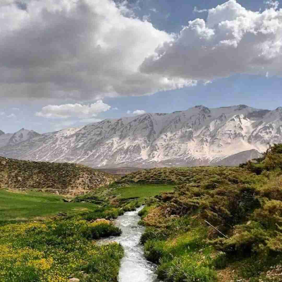 دانلود آهنگ لات بشی تو رو بوس میکنم من دکترم 