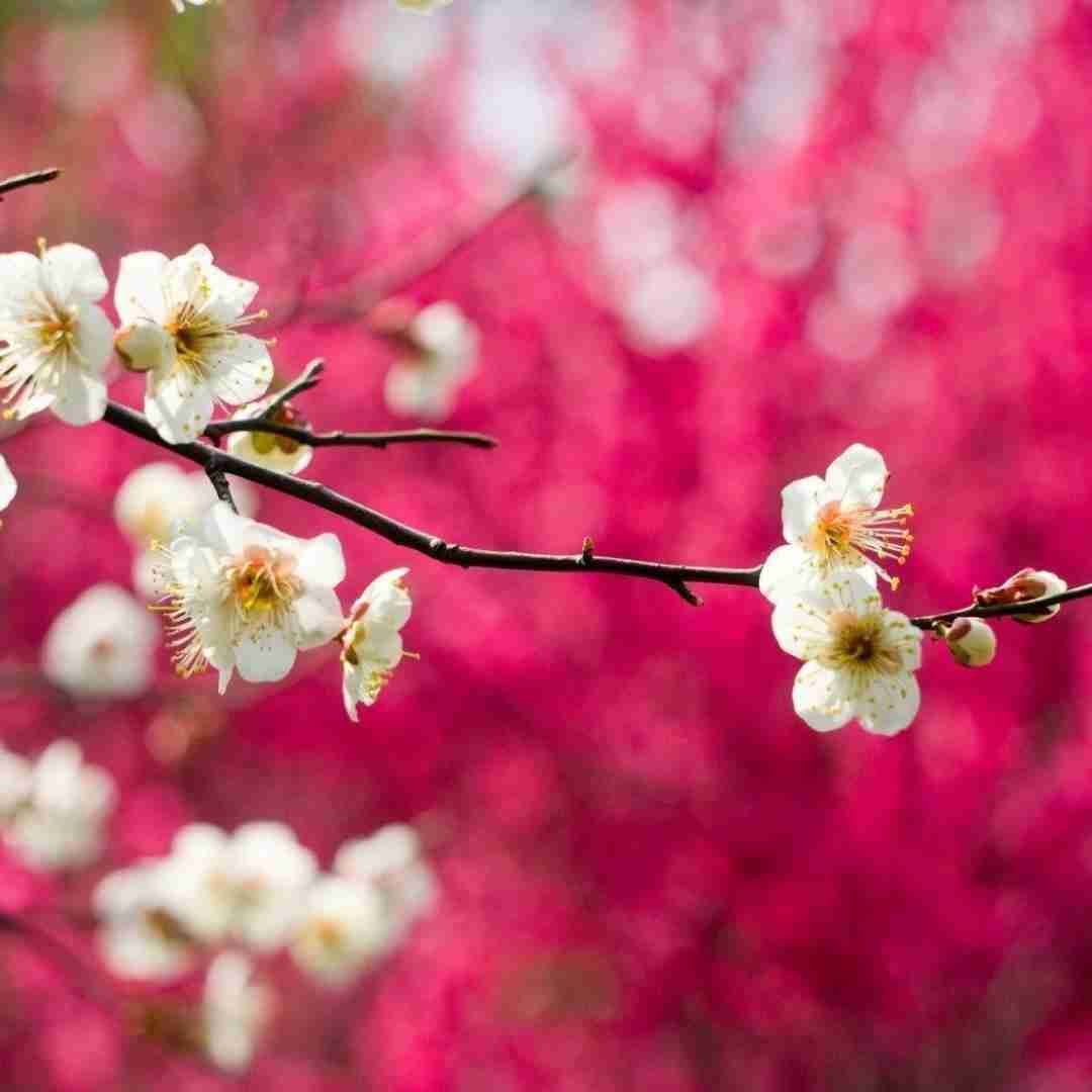 دانلود آهنگ تنهای بی سنگ صبور خونه ی سرد و سوت و کور با صدای دختر 